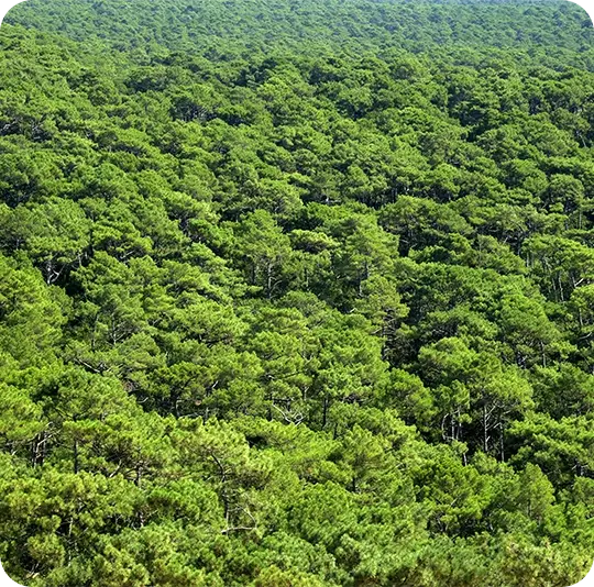 Visuel de la gamme Le Vrai Professionnel