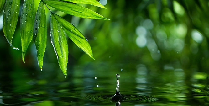 Environnement naturel