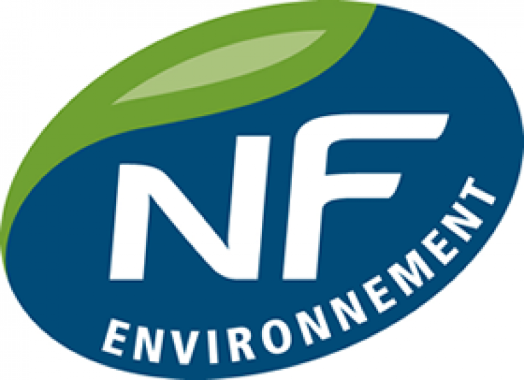 Logo NFE